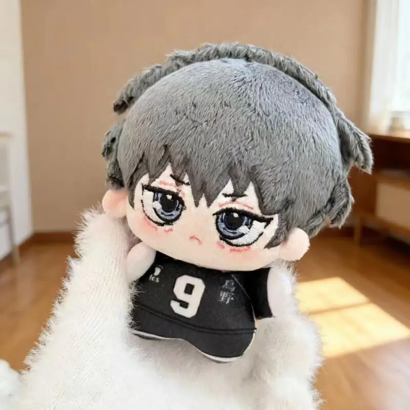 Cartoon Anime Haikyuu Shoyo Hi - огляд і ціна Event Supplies